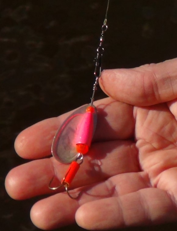 inline spinner fishing gear is shown